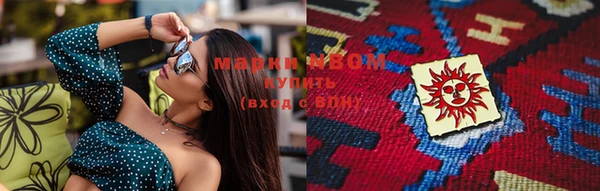 стаф Ростов